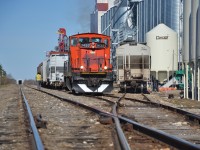 If you told me that there was a former Canadian National GMD-1 still pulling grain hoppers in the Saskatchewan prairies in 2026, I would have thought I was being being led on a goose chase.

Thankfully, I couldn’t be more wrong.

The GMD-1’s were, in my opinion, the quintessential locomotive of the Canadian prairies. These engines were a unique to Canada only model, with Canadian National and Northern Alberta Railway ( a railroad that was jointly owned between the CNR and the CPR, that would end up buying two from the CNR ) being the main customers. Over time, 20 units would subsequently be sold to Cuba and other units to various U.S. short lines as the CNR began to retire them.

Built from 1958 and 1960, the GMD-1 proved to be versatile and well suited for various roles. The 1000 series units featured the A1A ( six axle ) lightweight trucks which were geared for 65MPH, saw extensive use on the numerous branch lines that sprawled across Canada’s vast prairies. 

The B-B Flexicoil ( four axle ) truck variants of the initial batch of GMD-1’s ( 1900 series ) were better suited and geared at 83MPH for the local commuter trains. These units also came equipped with an onboard steam generator, denoted with a G in the class designation. 

These units would go through three rebuild’s throughout their lives. The most noticeable, would come in the removal of the A1A trucks as those branch lines these engines served, began to become abandoned or upgraded to heavier rail. This saw the reduction of the need to have so many lightweight six axle units. These would be swapped out for the B-B Flexicoil trucks.

Numerous unit found life elsewhere outside the prairies they once called home. 
Torch River Rails 1432, ex CN 1432, nee 1602 and when it came off the line in 1958 from GMD, it was numbered 1008. This unit never seemed to have ventured far from home in the west. 

Torch River Rail operates on 28 Miles on the former Canadian Pacific White Fox Subdivision. This subdivision once operated from Nipawin Saskatchewan to Sharpe, where it would then join CN and run into the town of Prince Albert.

In April of 2008, Torch River Railway, which consisted of local investors and four municipal government groups, moved forward to purchase the railway from Canadian Pacific. It serves the four municipalities of Nipawin, White Fox, Torch River and Choiceland, where the company is based out of.

Torch River Railways one and only unit is the as mentioned GMD-1, which was acquired in 2007.

I had reached out to the railway in May of 2026 in hopes to photograph one of the last remaining GMD-1’s in service. At the time of writing this, the unit is approaching 68 years old. A phrase I have heard one too many times, “if not now, then when”?

Here, TRR 1432 switches the elevators and bins within the small yard at Choiceland. 
