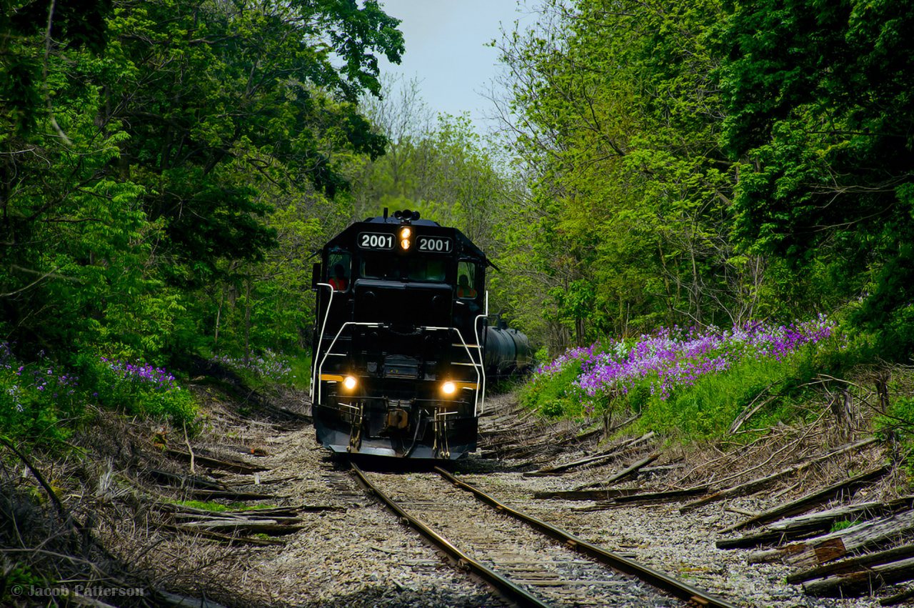 GIO Rail's pair of GP38 crawl up to St. George Street to wait for OSR to clear into the yard.  Once lined up, they will depart for Tillsonburg.