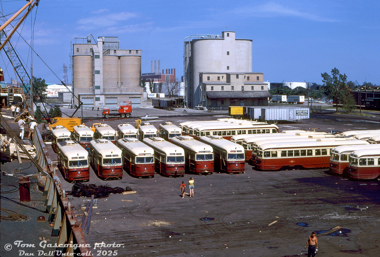 Due to the opening of the TTC's new Bloor-Danforth subway line in February 1966, and its subsequent extensions in May 1968, a chunk of the Toronto Transit Commission's fleet of PCC streetcars became redundant and were sold off. Alexandria, Egypt was the largest buyer, acquiring groups of TTC PCC's in both 1966 and 1968. The cars sold were the earliest TTC "air-electric" PCC cars (4000-4200 series, A1-A5 classes built new) and the oldest secondhand air-electric cars (4575-series, A10-class ex-Cincinnati), while newer cars stayed on the roster and continued in TTC service. 

This photo taken by Tom Gascoigne pretty much sums things up nicely: down at the Toronto Port Authority, rows and rows of early TTC PCC air-electric streetcars sit at Pier 24, awaiting loading into the Mare Tranquillo for shipment to Egypt. They had been previously loaded onto flatbed trucks by the TTC, and trucked down to the portlands for their final seafaring trip overseas. Some had already been loaded in the days previous, but many still sat on their trucks on the bare pavement awaiting the cranes parked nearby to hoist them onboard. In addition to the ship and port crews shown (evidently shirts were optional), some transit photographers and other spectators were aboard the ship and on the ground on this day to watch and document the loading process. In addition to the mobile cranes on the pier, some streetcars were loaded onto a barge, floated to the other side of the ship, and loaded via barge crane aboard the other side.

According to sources, there were about 76 ex-TTC PCC cars on site. As they were loaded aboard, they were crammed everywhere including on top of the ships' holds and along the deck sides. Cars lined up below in the first row are former TTC 4202, 4278, 4579, 4169, 4580 and 4221. Second row: 4576, 4188, 4587, 4575, 4279, 4251. Known car on far right in front: 4111. Across the upper back on the right: 4217(?), 4229, 4577, 4231. Cars loaded aboard included 4235, 4200, 4022, 4258, 4205 and many more. "Barge cars" included 4270, 4178 and 4232. Lined up along the portside edge (out of sight to the right) were 4581, 4268, 4213, 4242, 4225, 4250, 4223, 4043, 4006, 4293 & 4007, awaiting loading once this batch were finished. 

In Egypt, many of the ex-TTC streetcars were pressed into service, with some modified to operate in multiple car trains of 2-car sets and later 3-car sets. The final ones were apparently retired in the mid-1980's.

For the industrial rail enthusiasts and old Toronto history buffs, this view in the portlands was shot off the starboard side of the Mare facing east towards Cherry Street, with Polson Street to the south running along the right. Pier 24 here did not have rail sidings, but Pier 35 to the north did (including a large dockside crane). Industries visible include the two Canada Cement silos (served by rail, note the CN "slab-side" covered hoppers), Texaco Canada (tank farm on the other side of Cherry Street, also served by rail, note "Skychief Gasoline" advertisement. and part of the old Hearne generating station visible beyond. On the right was Continental Can Co. (note ONR boxcar spotted on siding along Polson St., the building now home to a variety of businesses including Rebel nightclub). Beyond that to the south (on the far right in the distance) was an auto recycling yard known as Industrial Metals Ltd (that part of an episode of Police Surgeon was filmed at). All were accessed by rail off the Q400 Ashbridges Bay switching lead that ran next to Cherry Street.

Tom J. Gascoigne photo, Dan Dell'Unto collection slide.