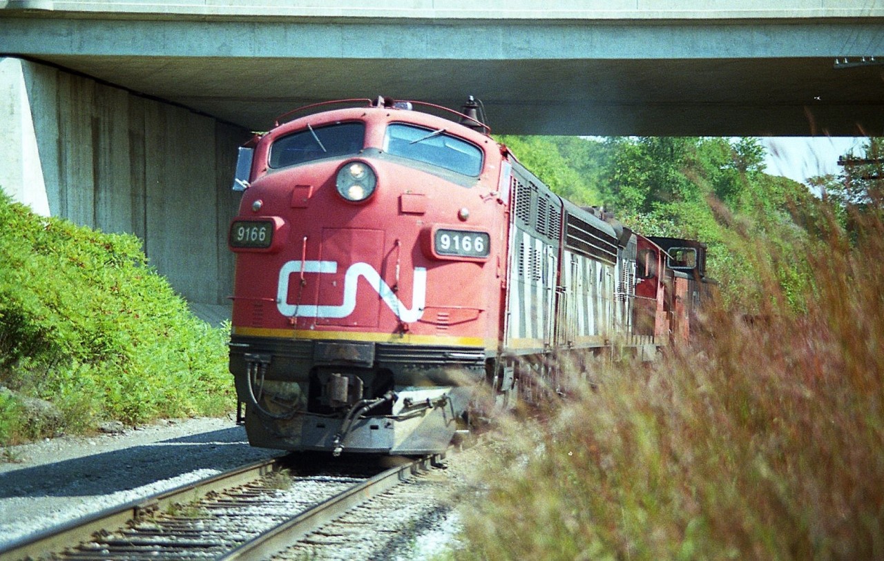 As much as I tried, sometimes I just could not get away from work soon enough. Gotta get to Bayview. From Stoney Creek it felt like a panic attack when I got stuck in traffic on the Burlington Skyway.
On this day, barely made it. Train was already on the move out of Hamilton; usually around 1530 or so. I dashed ("roared" is more like it) into the RBG bus parking and scurried down the hill.  Just in time!!
CN 9166, 9195, 4572 with the Nanticoke Steel Train #725 is caught rolling under the old York Blvd bridge.
Phew!!  Those F units were not going to be leading this train much longer, and my opportunities to get trackside for this were very limited.  Today, I won.
