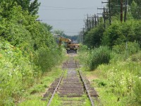 One for the "We went to get some OBRY and all we got was this hi-rail" files.<br><br>Can't win 'em all: this Caterpillar M318 mobile excavator with hi-rail equipment was doing some track maintenance along the Orangeville-Brampton Railway in Brampton with its brush-cutter head attachment, seen making its way south/west between McMurchy and McLaughlin (approaching McLaughlin grade crossing) leaving a somewhat more cut-back right-of-way in its wake (still better than anything you'll see on the OBRY today, thanks to Orangeville city council...).