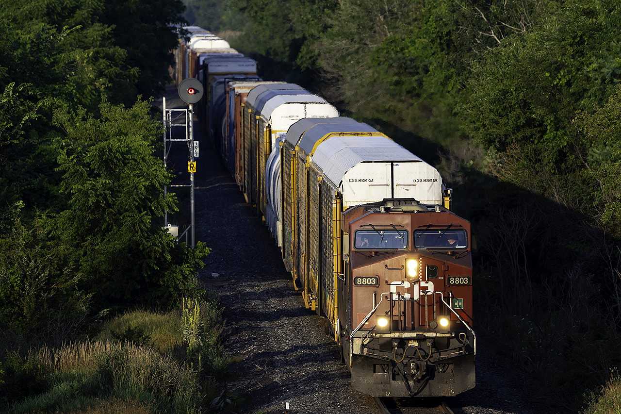 CP 8803 leads a slow moving eastbound into Trenton on a beautiful July morning.