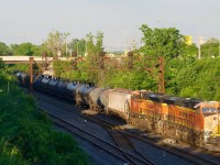 One of the most photographed trains on CN's Kingston/Montreal Subs in some time passes CN Ballantyne with the foreign power on the tail end of ethanol train CN 714 (mostly) avoiding the lengthening shadows. This train had an unusual configuration of one NS unit up front and two BNSF units on the tail end.