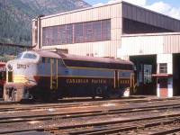 CP 4105 is outside the CP diesel shop in Nelson, British Columbia on July 30, 1974. While the lighting is not the best for the shadows, considering the Master Mechanic had 4105 moved out of the shop for my photos, I am thankful for what I have.