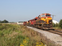 What I think was CPKC 134, screams around the bend at Dumfries Rd. between Ayr and Cambridge with 4-units, mostly KCS and one CP geep. Unfortunately, one motorist was not in her right mind and wouldn't back up off the crossing until the very last minute. 