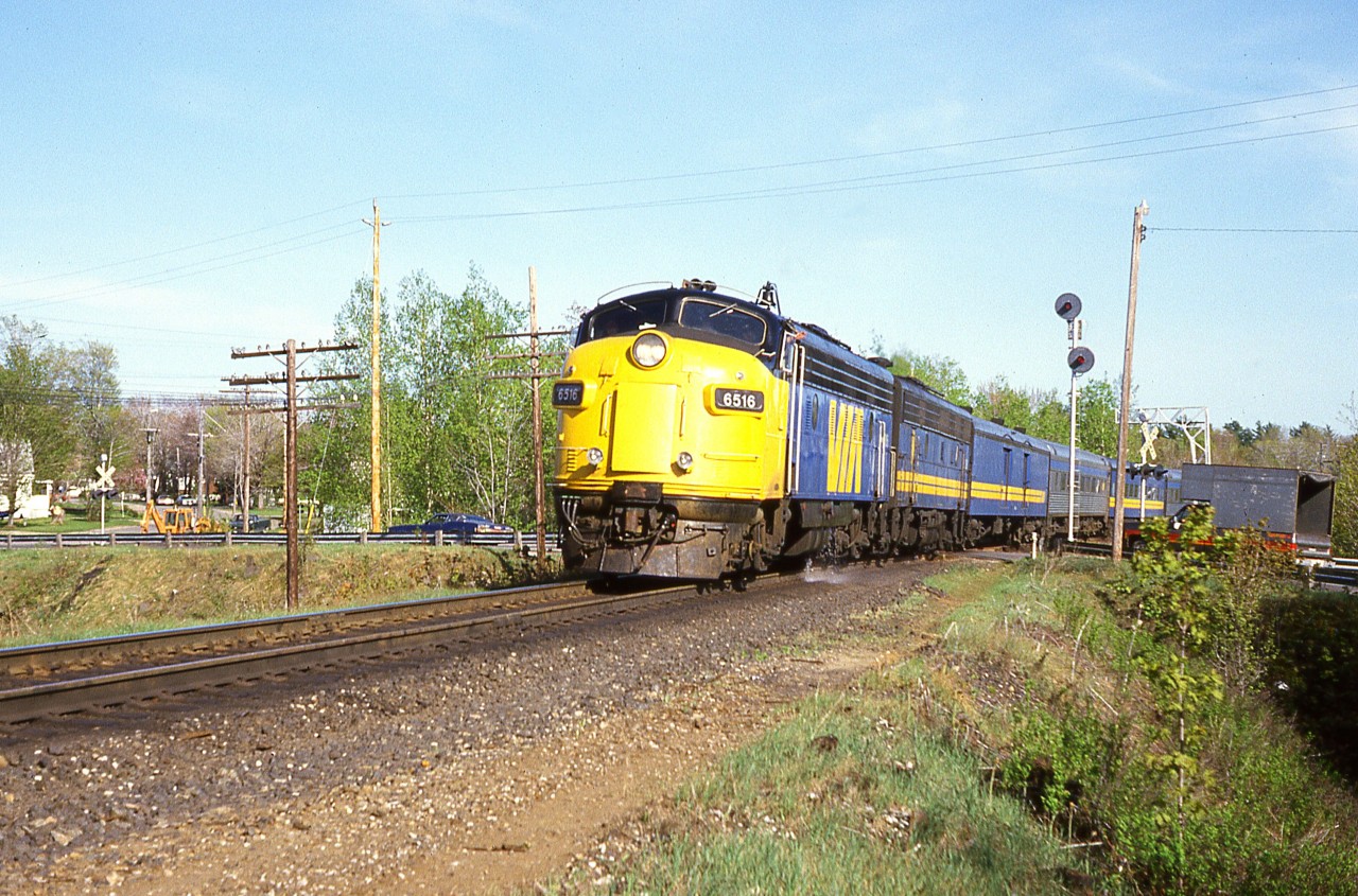 I must been caught off guard with this train, as I see my car is parked in 'live lane' on the left in this photo. (jump out and run)  VIA 6516 and 6628 were probably not wasting any time either heading north over Isabella St., last crossing in the core area of the town.
For me this brings back, 40 years ago, great memories of being out on the hunt.
