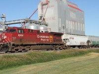 CP 8006 ( GE AC4400CWM ) heading eastbound past the grain elevator, through Milestone Saskatchewan.