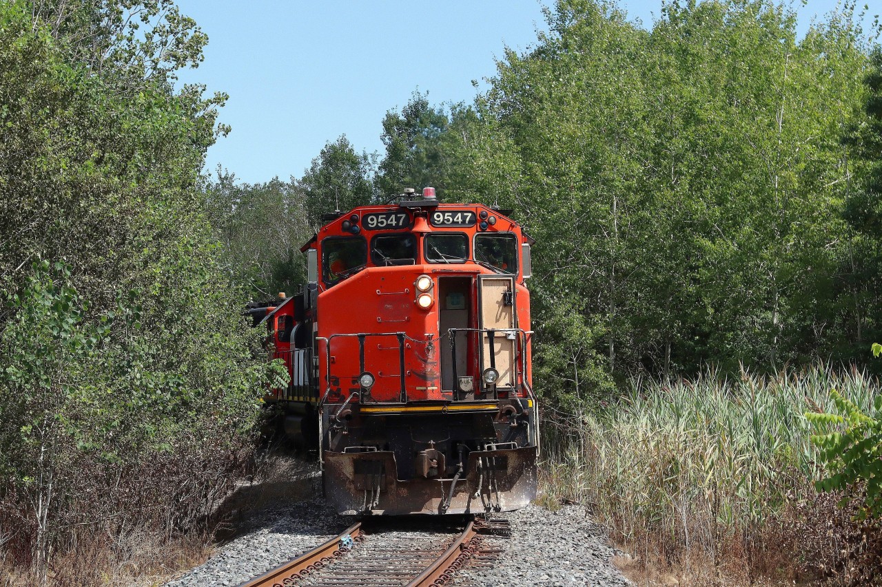 L554 disappearing into the vegetation pushing 36 empty hoppers down the Cement Lead to the Ash Grove Mississauga facility.