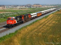 CN P00731 17 with CN 3309 and 2996 for power, cosplaying GO train for a day made tours at Oshawa and Niagara Falls with a crew change stop at new SHIT yard. (2026/07/17)