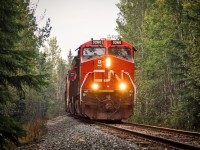 CN U75351 on the return trip from Prince Rupert. The train is passing Sandy Lake, a small lake mostly known by locals of the area. 