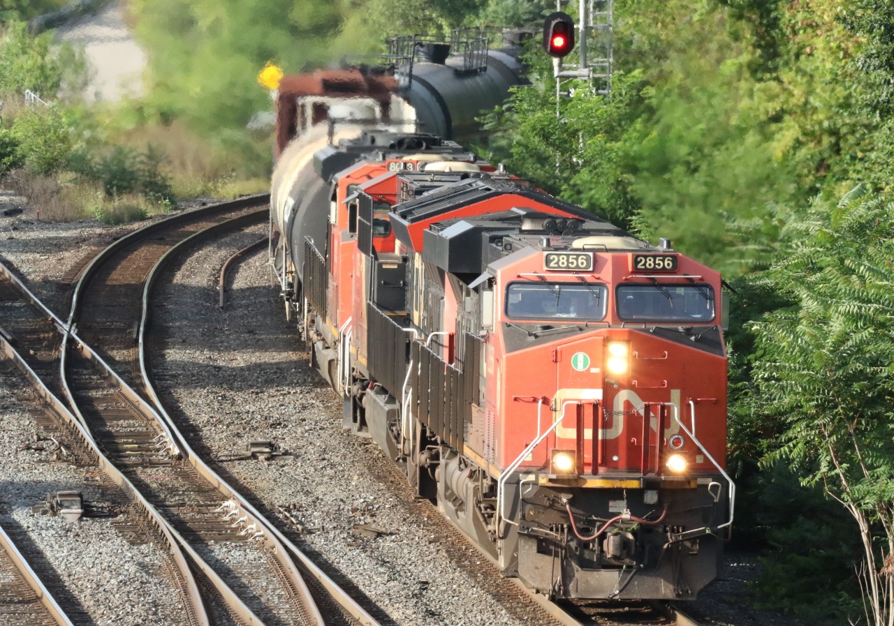 CN 2856(GE ES44AC), CN 3205(GE ET44AC) and CN 8003(EMD SD70M-2) through the junction, eastbound. Originating in Michigan, crossing into Sarnia and onward into Toronto.