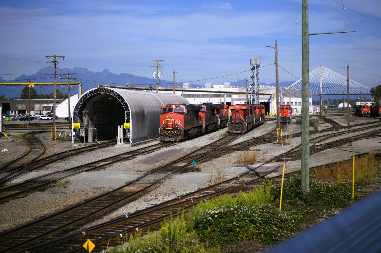 Power to spare >/b> 
Heading east out of Vancouver's Pacific Central station on VIA 002 'The Canadian' mid-afternoon provides for a well-lit scene at CN's Thornton Yard in Surrey, BC. 
The 11 units visible in this shot are just a small sample of the power that was on display at the shop and yard on this sunny August 31st afternoon. 
Thornton Yard stretches for miles beyond this point passing the diesel shop, car repair, Engineering facilities, Fleet Services (automotive) and a huge intermodal complex.