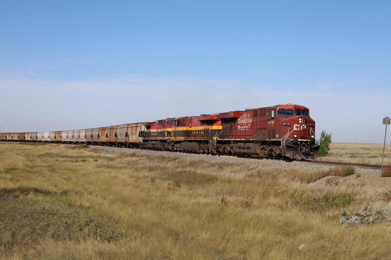 Having received these potash empties from the Union Pacific at Eastport, Idaho and travelled up the Montana, Aldersyde, and Taber subs to the mainline at Dunmore, train 618 rolls through Pashley, Alberta (just east of Medicine Hat) headed for reloading in Saskatchewan. Power today is a trio of ES44ACs--CP 8716, KCS 4863, and KCS 4621.