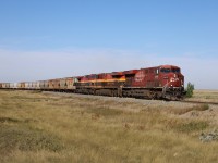 Having received these potash empties from the Union Pacific at Eastport, Idaho and travelled up the Cranbrook, Crowsnest and Taber subs to the mainline at Dunmore, train 618 rolls through Pashley, Alberta (just east of Medicine Hat) headed for reloading in Saskatchewan. Power today is a trio of ES44ACs--CP 8716, KCS 4863, and KCS 4621.