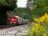 As the extra Honda rounds the bend at Mt Pleasant, one can observe where countless freight trains with their high cube autoracks and double stacked containers have left an indelible impression on the adjacent tree line…