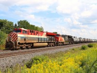 Having received a friendly heads up that the BC Rail Heritage unit was leading on A424 today, I timed the arrival best I could, but maybe a bit tight as the headlight was visible in the distance as I was exiting my vehicle and getting the lens cap off.

