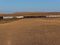CN 8340 grinds upgrade towards Biggar with the daily Winnipeg to Mirror, Alberta manifest.  