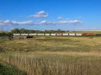 CPKC 444-20 pulls down the siding track at Secretan for a meet with CPKC 315-308