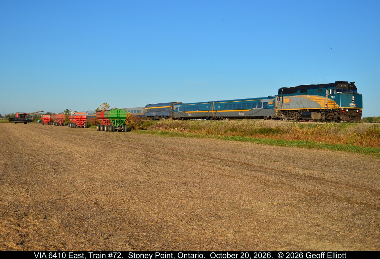 Fall colors don't only come from the leaves on the trees.  Growing up in a farming family the colors of Fall also came from the red, orange, and green wagon loads of yellow soya beans and golden field corn, not to mention the Ford blue, John Deere green, IH red, and Allis orange on the tractors pulling them.  Here VIA train #72 approaches Stoney Point as it passes a partially harvested field of soya beans showing off the fall colors of farming......