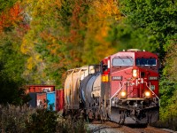 Autumn is on display as CP 8898 leads an eastbound through Trenton with a cheerful crew on board.