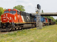 Nice summer day, for another trip out during the pandemic. Searching along the Strathroy Sub., I had first missed this train at Strathroy, got ahead of it at <a href="http://www.railpictures.ca/?attachment_id=59779"> Kerwood (due to a meet) </a>, then picked Watford due to the openness of the old <a href="http://www.railpictures.ca/?attachment_id=38272"> station grounds. </a> 
<br>
<br>
What interested me, was not only 4 engines including what I assume at the time was a blue CEFX leaser, but CN 2036. A C40-8, it really stood out against this mix of power and reminded me of older power that once traversed CN's network. 
<br>
<br>
Glad I snapped this photo when I did. After researching more information about 2036, it was retired in 2023. I can only imagine it was scrapped. 