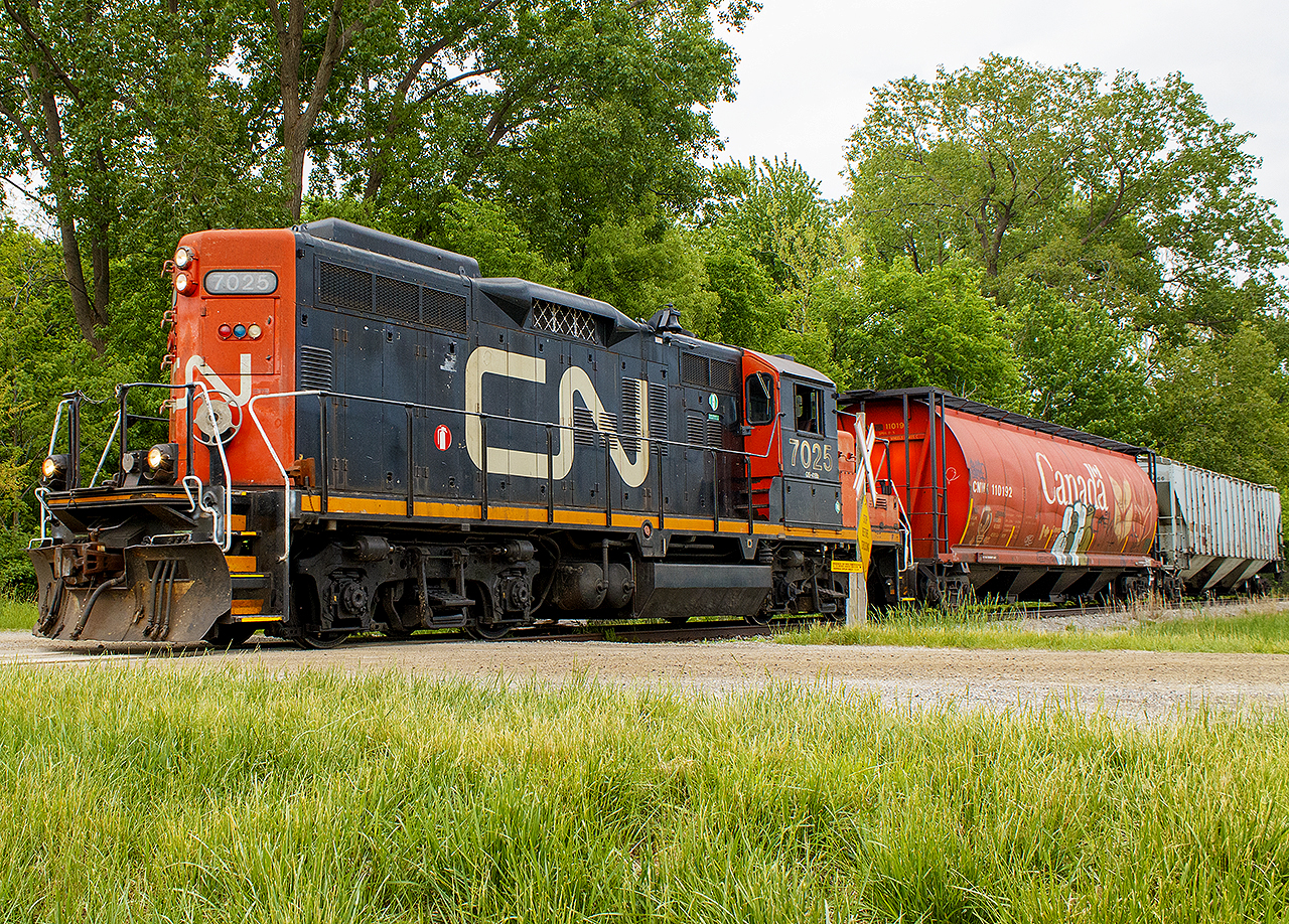I paid the price for this photo. Trying new locations, I was at the entrance to C.M. Wilson Conservation Area. Here, Fargo Road brings you right to the crossing entering the campground. However, I misjudged my position, unaware of the mosquito population amongst the long grass. 


Nonetheless, CN 7025 jaunts along at a steady 10 to 15 MPH, after lifting two cars from Blenheim on their way back to Chatham.