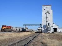 It's a perfect October afternoon in Herbert Saskatchewan, and grain train season is in full swing.  KCS 5019 is a nice change from the usual junk. 