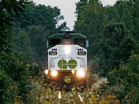 GO F49PH #525 heads up a train through the woods and weeds near Stouffville, Ontario, in the early 1990s. This is a scan from a print in my collection, which was given to me by a GO Transit employee in the early '90s- original photographer unknown. I like the memory of how rural this line really was back then.