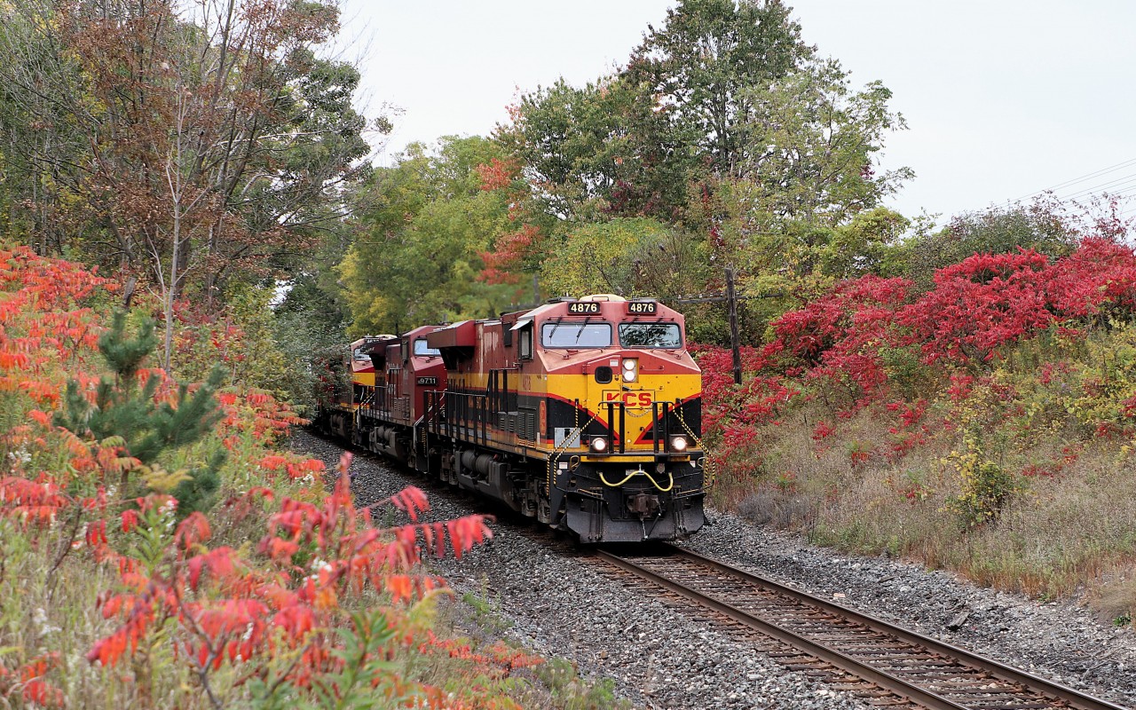 With the fall colours starting to reveal themselves, and the sumacs in their bright reds, a fairly clean KCS 4876 with CP 9711, KCS 4673 and CP 4513 on the head end and CP 9372 pushing mid train make their way east down the Galt sub. The colours of the KCS blend in nicely with the surroundings.