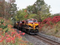 With the fall colours starting to reveal themselves, and the sumacs in their bright reds, a fairly clean KCS 4876 with CP 9711, KCS 4673 and CP 4513 on the head end and CP 9372 pushing mid train make their way east down the Galt sub. The colours of the KCS blend in nicely with the surroundings.