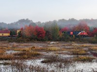 It's a cold morning, and the rising sun is stirring the fog as a southbound stacker heads for Toronto. Inn another hour, it will be a clear-as-a-bell perfect fall day. 