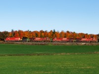 The fall colours are hanging on in Southern Ontario. And while I am no fan of the new paint and reviled by the new name, I'll happily take it (the paint) over shabby 8721, 8931, 8741 trailing. 