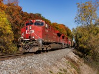 8200 and 4404 trail on 135 as the fall colours are just past their peak, 