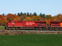 The fall colours just don't last long enough. 1/40th. 
