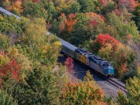 ON the approach to the Seguin River Trestle, as Ontario's fall puts on a show. 