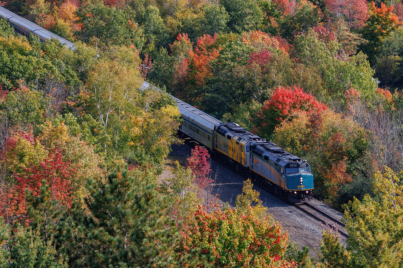 ON the approach to the Seguin River Trestle, as Ontario's fall puts on a show.