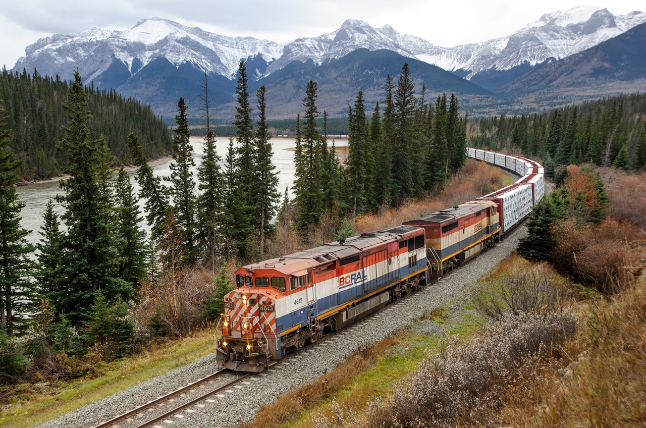 bcol c40-8ms 4613 and 4604 lead a long and